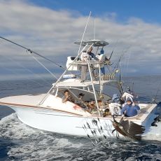 Luminare Sport Fishing profile photo