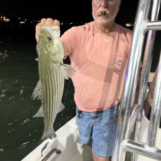 Stephan Bent profile photo