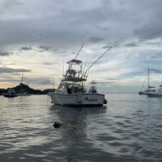 Papi Chulo Sportfishing profile photo