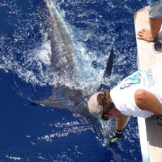 Russell Young profile photo