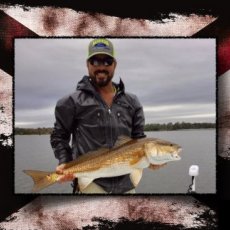 Rob Hansill profile photo