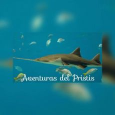 Esteban Jimenez Gomez profile photo