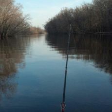 Risen Tide Sportfishing