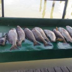 David Rappelet profile photo