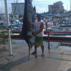 Cesar Perez PV Sportfishing profile photo