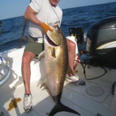 Rich Adler profile photo