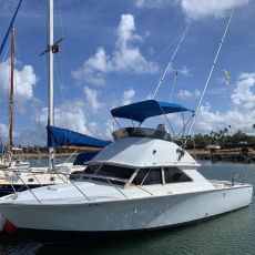 To The Max Charters profile photo