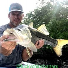 Chip Matthews profile photo