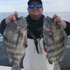 Tyler Eichholz profile photo