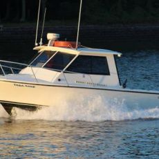 Joe Lyons profile photo