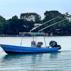 José Miranda profile photo