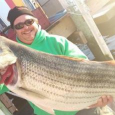 Jim Gregory profile photo