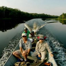 Curixá profile photo