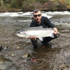 David Falato profile photo