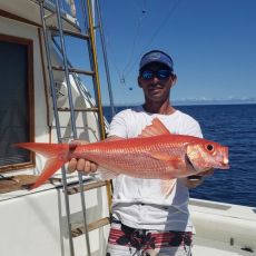 Flying Fish Charters profile photo
