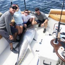 Bill Miller profile photo