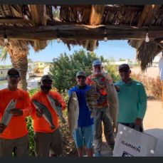 Raymond Wheatley profile photo