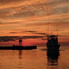 Louis Hocker profile photo