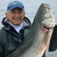 Michael Grecco profile photo