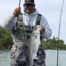 Pete Franco profile photo