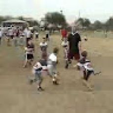 Pepe's Fleet – Tiger Shark