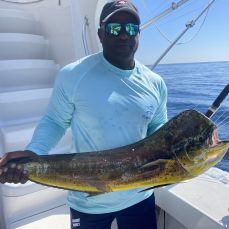 Infinite Blue Charters profile photo