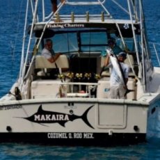 Jose Luis Castillo Tinajero profile photo