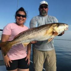 Dwayne Clark profile photo