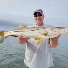 Tim Stout profile photo