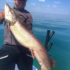 Kyle Moxon profile photo