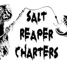 Matt Dempsey profile photo