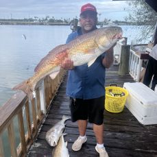 Timothy Gibson profile photo