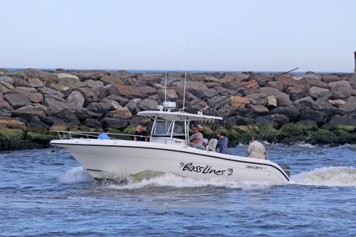 Bass Lines Sport Fishing Charters profile photo