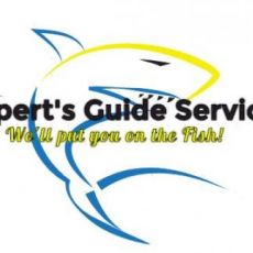 Austin Cypert profile photo