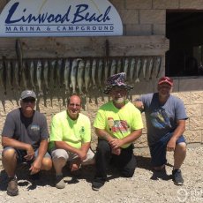 Robert Dunning profile photo