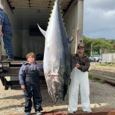 Don Viprino profile photo