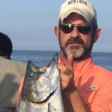 Kurt Driscoll profile photo