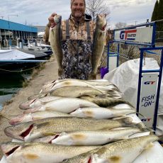 George Cini profile photo