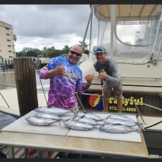 Shawn Safris profile photo