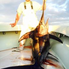 Good Hit Sportfishing profile photo