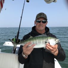 Mark Haley profile photo