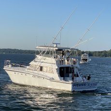 Chris Marseglia profile photo