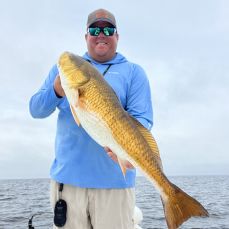 Case White profile photo