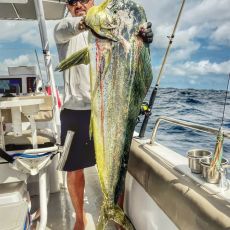 Dmitry and Alex Filippov profile photo