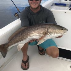 Joshua Johnson profile photo