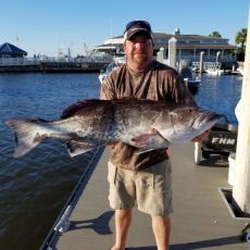 James ( Tony ) Peeples profile photo