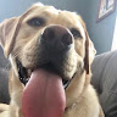 Fishhound Expeditions LLC