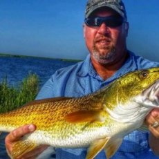 Thomas Adams profile photo