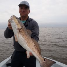 Billy Chapman profile photo