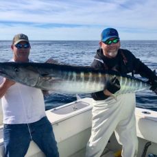 Timothy Altman profile photo